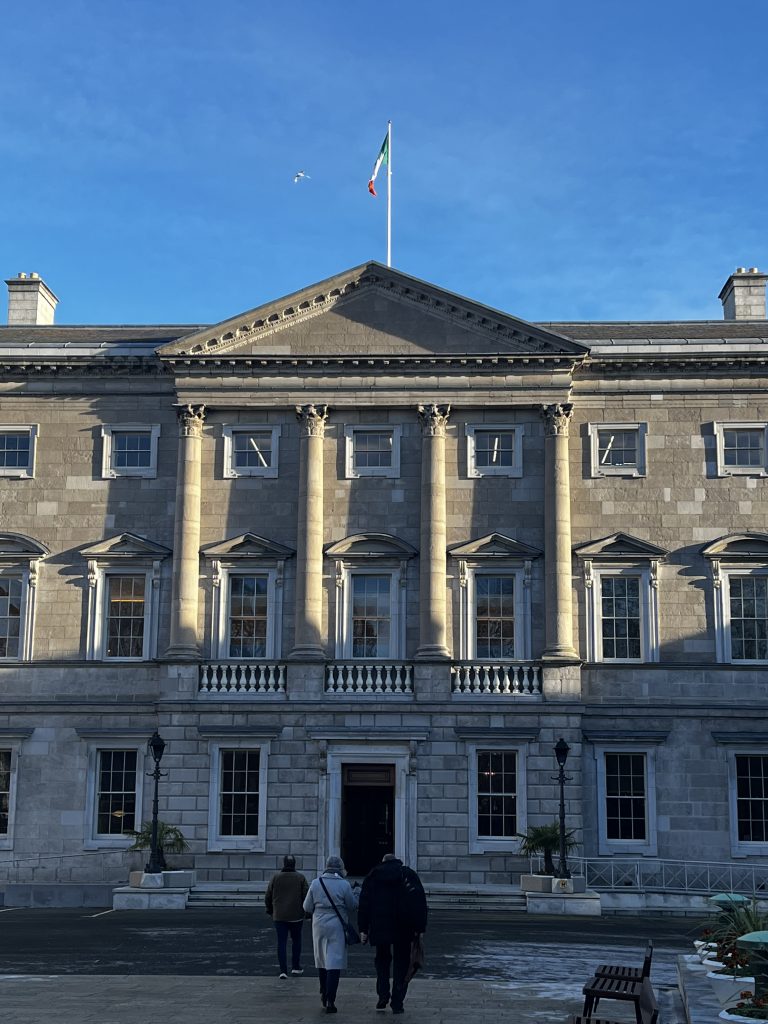 Irish Parliament: What to learn from the crisis?